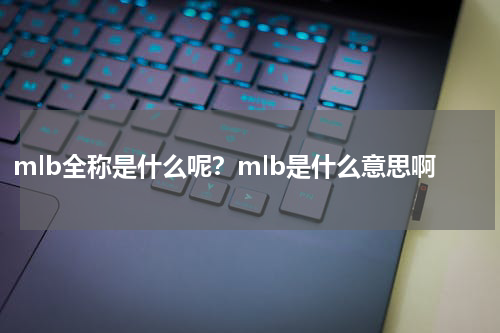 mlb全称是什么呢？mlb是什么意思啊
