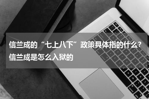信兰成的“七上八下”政策具体指的什么？信兰成是怎么入狱的