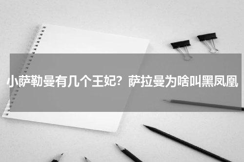小萨勒曼有几个王妃？萨拉曼为啥叫黑凤凰