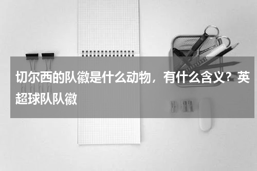 切尔西的队徽是什么动物，有什么含义？英超球队队徽