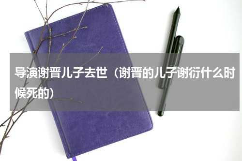 导演谢晋儿子去世（谢晋的儿子谢衍什么时候死的）