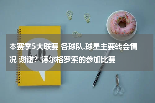本赛季5大联赛 各球队.球星主要转会情况 谢谢？德尔格罗索的参加比赛