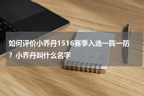 如何评价小乔丹1516赛季入选一阵一防？小乔丹叫什么名字