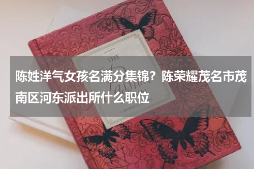 陈姓洋气女孩名满分集锦？陈荣耀茂名市茂南区河东派出所什么职位