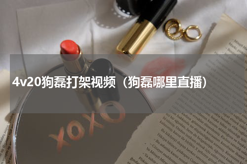 4v20狗磊打架视频（狗磊哪里直播）