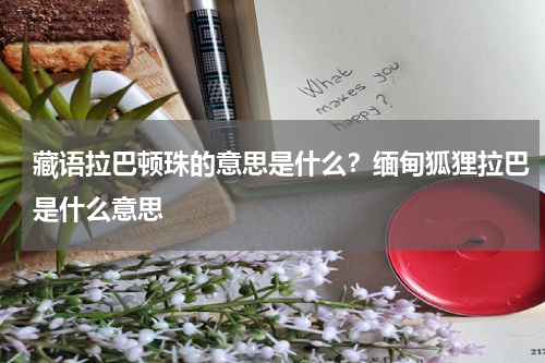 藏语拉巴顿珠的意思是什么？缅甸狐狸拉巴是什么意思