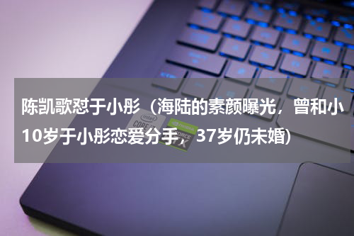 陈凯歌怼于小彤（海陆的素颜曝光，曾和小10岁于小彤恋爱分手，37岁仍未婚）
