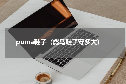 puma鞋子（彪马鞋子穿多大）