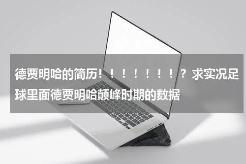 德贾明哈的简历！！！！！！！？求实况足球里面德贾明哈颠峰时期的数据