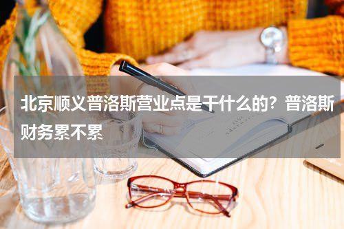 北京顺义普洛斯营业点是干什么的？普洛斯财务累不累