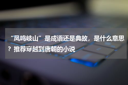 “凤鸣岐山”是成语还是典故，是什么意思？推荐穿越到唐朝的小说